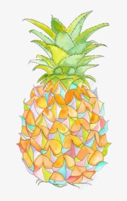 卡通彩色菠萝素材