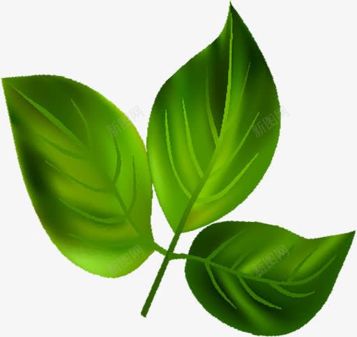 手绘海报绿色植物树叶png免抠素材_新图网 https://ixintu.com 树叶 海报 绿色植物