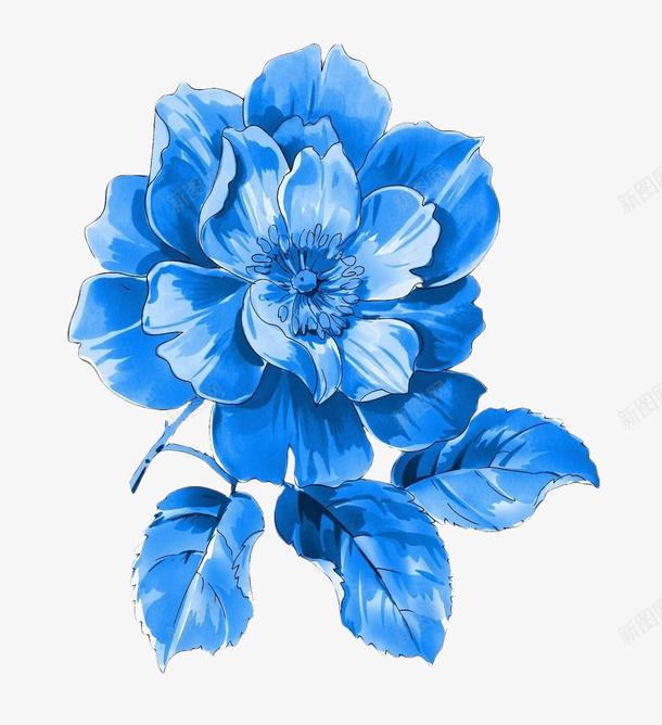 美丽的蓝色花朵png免抠素材_新图网 https://ixintu.com 可爱 花朵 蓝色 透明