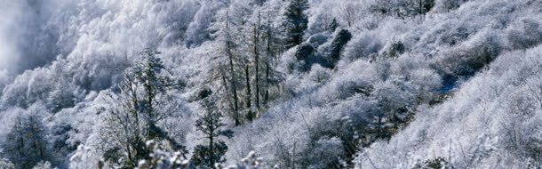 雪景背景自然背景jpg设计背景_新图网 https://ixintu.com 素材 背景 自然 雪景