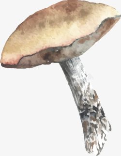 手绘蘑菇素材
