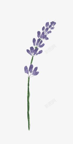 紫色手绘水彩花素材