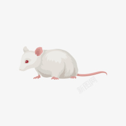 卡通实验小白鼠一只小白鼠矢量图高清图片