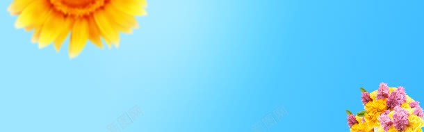 夏日女鞋bannerjpg设计背景_新图网 https://ixintu.com banner 女鞋 淘宝