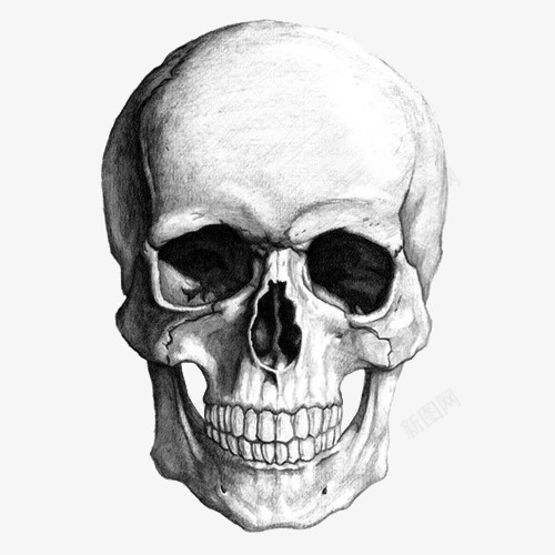 素描骷髅png图片免费下载 素材0qjjveuqg 新图网 素描骷髅png图片免费下载 素材0qjjveuqg 新图网