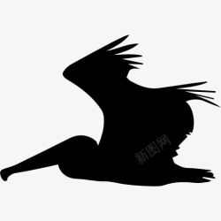 鹈鹕鸟鹈鹕飞边的轮廓图标高清图片