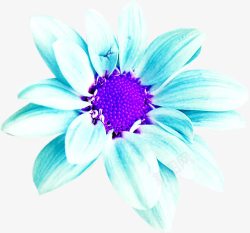 创意合成蓝色的花卉植物素材