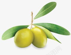 2颗绿橄榄装饰png免抠素材_新图网 https://ixintu.com 橄榄 水果 食材 食物