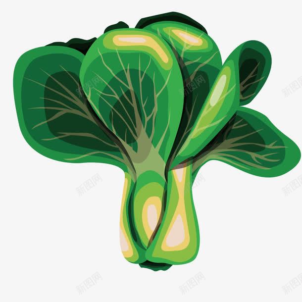 绿色食物蔬菜png免抠素材_新图网 https://ixintu.com 大白菜 果蔬 植物 白菜 食材 餐饮食物
