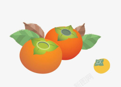 两个柿子插画柿子高清图片