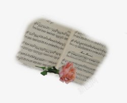 写满写满乐谱的笔记和一朵小花高清图片