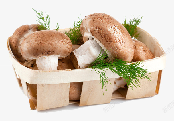一篮筐食材png免抠素材_新图网 https://ixintu.com 叶子 篮子 蔬菜 蘑菇 褐色 食物