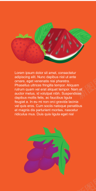 手绘草莓西瓜葡萄红底背景矢量图背景
