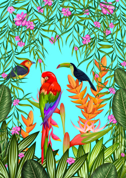 热带花鸟花鸟植物背景矢量图高清图片