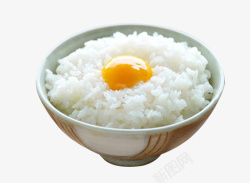 鸡蛋米饭素材