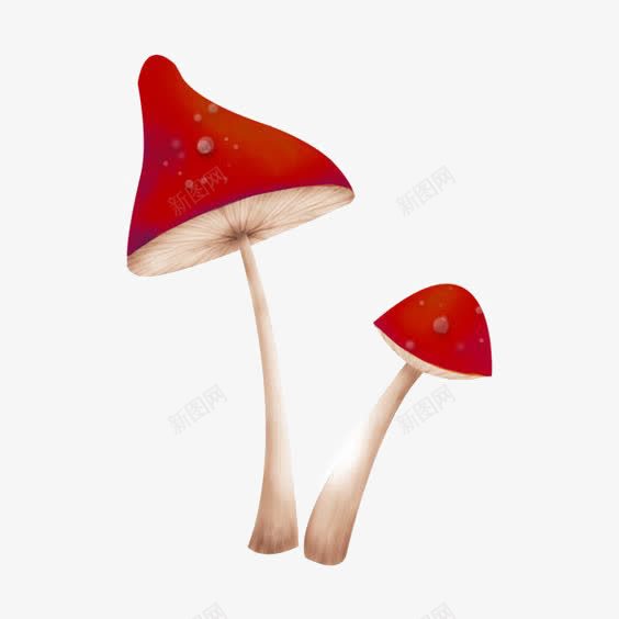 红蘑菇插画png免抠素材_新图网 https://ixintu.com 卡通蘑菇 小蘑菇 手绘蘑菇 毒蘑菇 红菇 蘑菇免扣元素