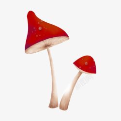 红蘑菇插画素材