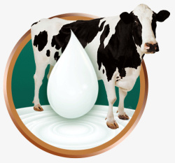 初乳牛初乳使用元件高清图片