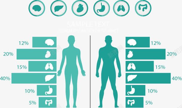 手绘分析图png免抠素材_新图网 https://ixintu.com 人体 分析图 手绘