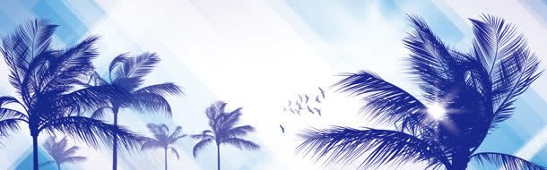 精美棕榈树banner背景jpg设计背景_新图网 https://ixintu.com 棕榈树 植物背景