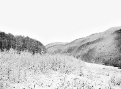灰色冬季雪地风景素材