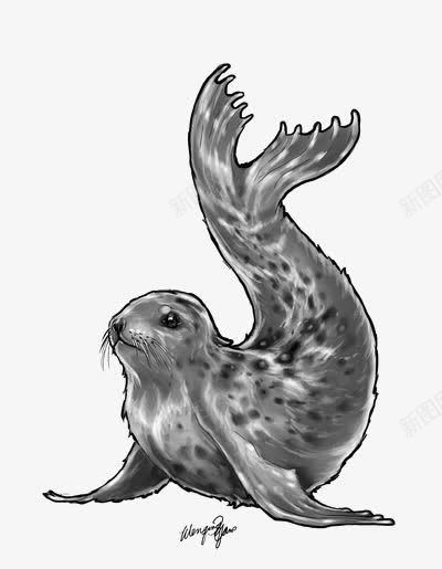 海豹png免抠素材_新图网 https://ixintu.com 动物 北极 手绘海豹 素描 素描海豹