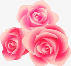 三朵花粉色玫瑰花高清图片