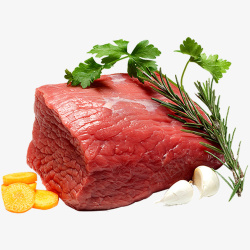 新鲜食材牛肉香料素材