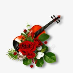 大提琴和玫瑰花素材