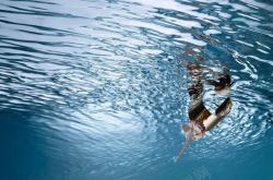 游泳者跳跃到水里的游泳者高清图片