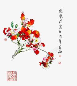 美术花工笔画凤凰花高清图片