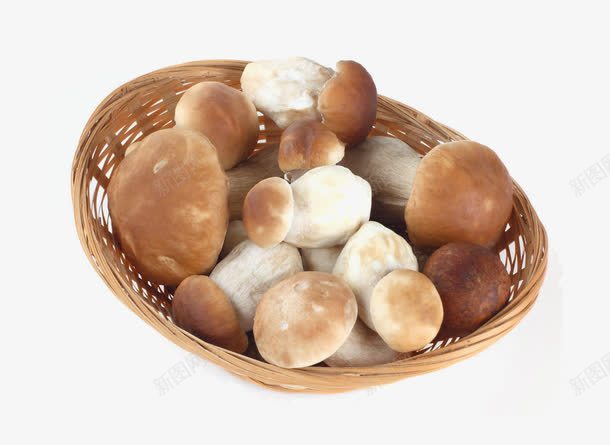 一篮子蘑菇png免抠素材_新图网 https://ixintu.com 篮子 菌菇 蘑菇 蘑菇篮子 食用菌