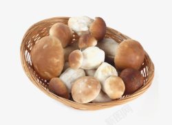 一篮子蘑菇素材