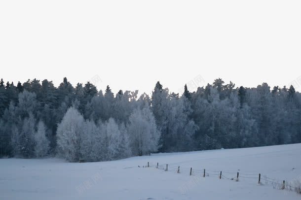 白色雪原png图片免费下载 素材0yjqgepga 新图网