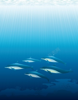 小清新鱼群矢量卡通海底鱼群背景高清图片