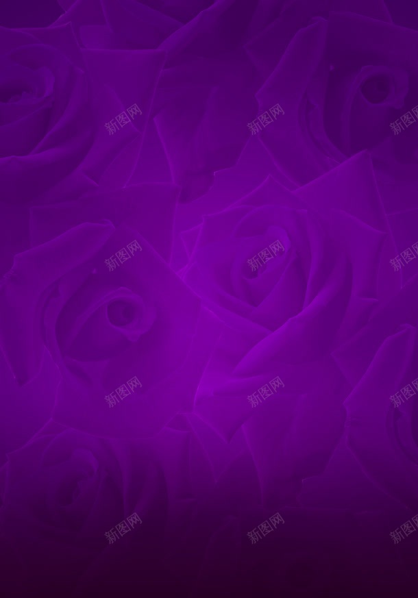 紫色玫瑰花底纹png免抠素材_新图网 https://ixintu.com 底纹 玫瑰花 紫色