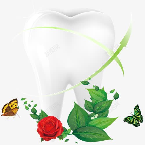 牙齿健康与绿叶png免抠素材_新图网 https://ixintu.com 牙医医生 牙痛 牙齿治疗 牙齿疼痛