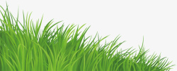 草长长长的绿草1高清图片