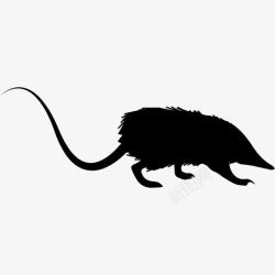 鼠头鼠轮廓大鼠的轮廓图标高清图片