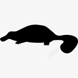 矢量鸭嘴兽免抠PNG动物形状的鸭嘴兽图标高清图片