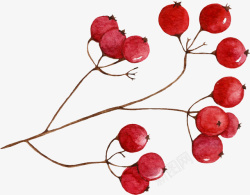 卡通手绘红色的果子素材