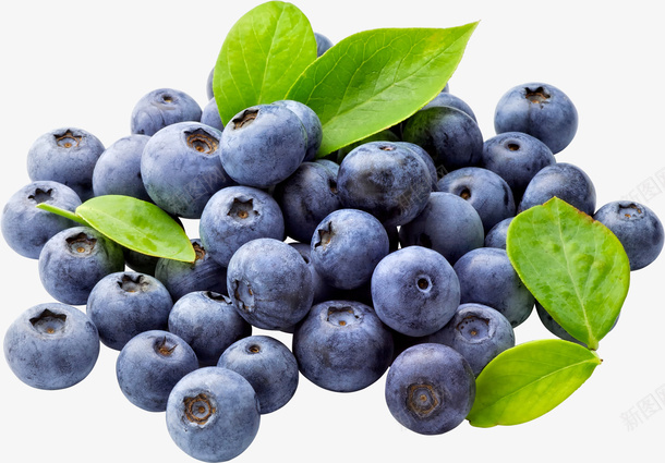 蓝莓食物图png免抠素材_新图网 https://ixintu.com 水果 绿叶 蓝莓 食物