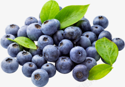 盘装蓝莓蓝莓食物图高清图片
