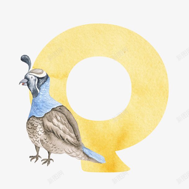 卡通手绘黄色字母与鸟png免抠素材_新图网 https://ixintu.com 创意 动漫动画 卡通手绘 灰色的鸟 看图识字卡，看图识字 简约 黄色字母Q