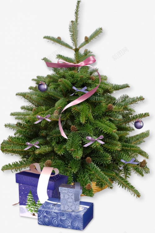 圣诞树实物png免抠素材_新图网 https://ixintu.com 圣诞树 圣诞节 绿色 蝴蝶结