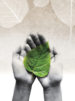 森林资源保护双手捧叶保护树木森林日海报背景高清图片
