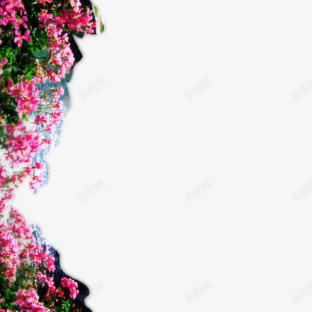 唯美花海psd免抠素材_新图网 https://ixintu.com 水墨花朵免费下载 水彩花朵 绿色叶片 花朵免扣 花朵装饰