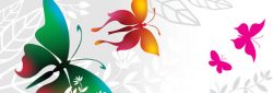 潮流花纹网页横幅banner潮流绚丽横幅花纹背景高清图片