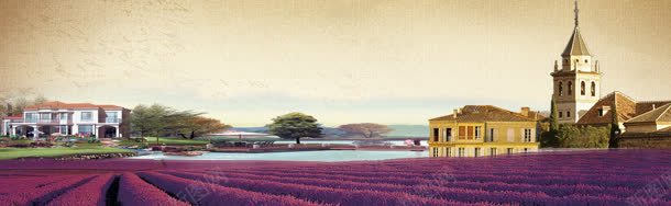 薰衣草背景背景
