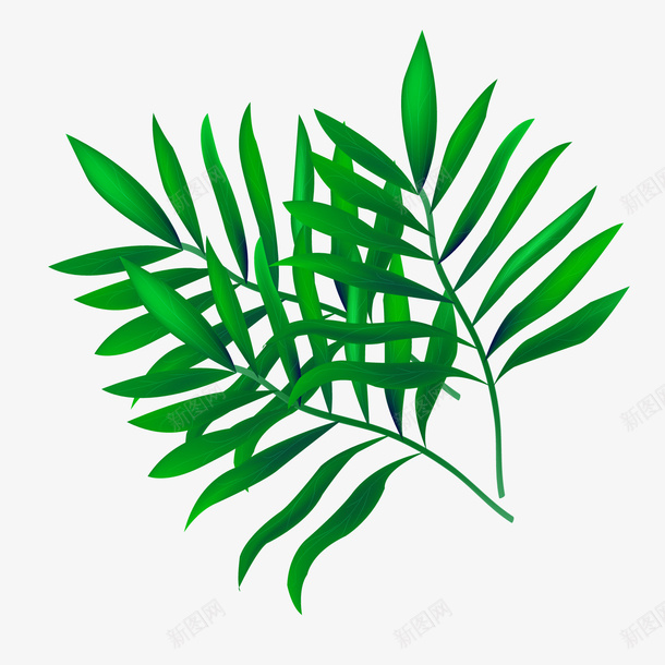 绿色树叶植物png免抠素材_新图网 https://ixintu.com 卡通植物 树叶 绿色叶子 绿色植物 背景装饰